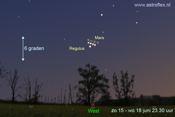 Samenstand Mars Regulus