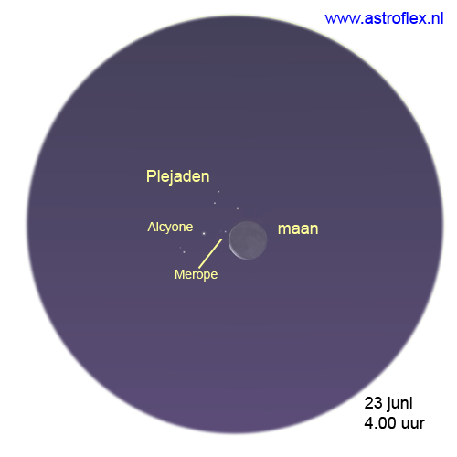 maan plejaden